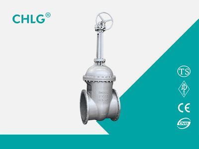 俄标伞齿轮闸阀